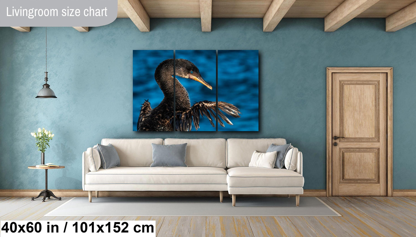 Galapagos Bird Canvas Print, Bird , Cormorant Photography, Canvas Print, Canvas Wall Art, Galapagos Photography