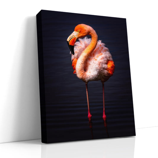 Galapagos Pink Flamingo Print, Photo Art, Canvas Print, Home Decor, Wildlife