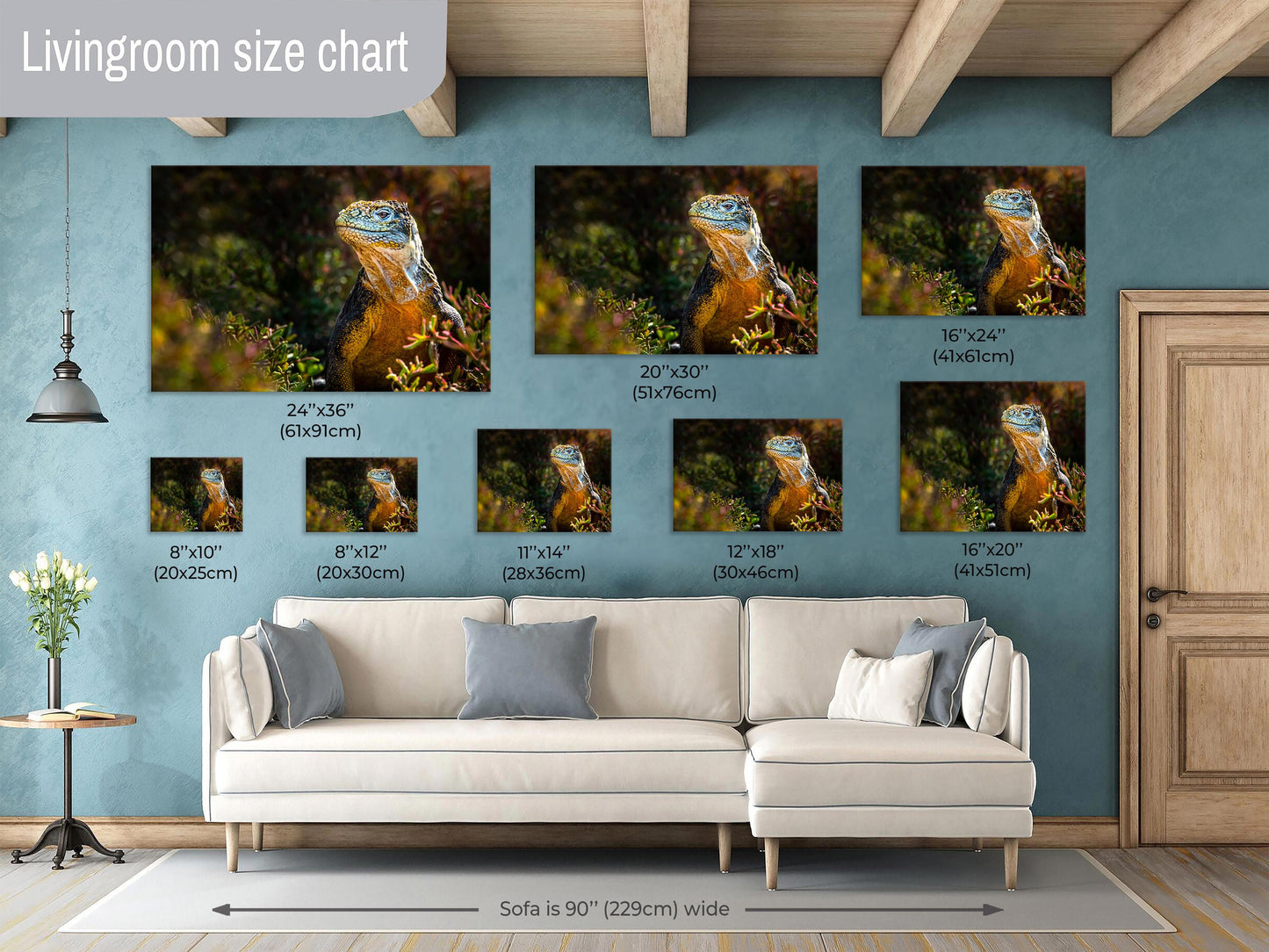 Lizard Canvas Print, Lan Iguana, Galapagos Islands, Iguana Photography, Canvas Print, Canvas Wall Art, Galapagos Photography, travel, nature