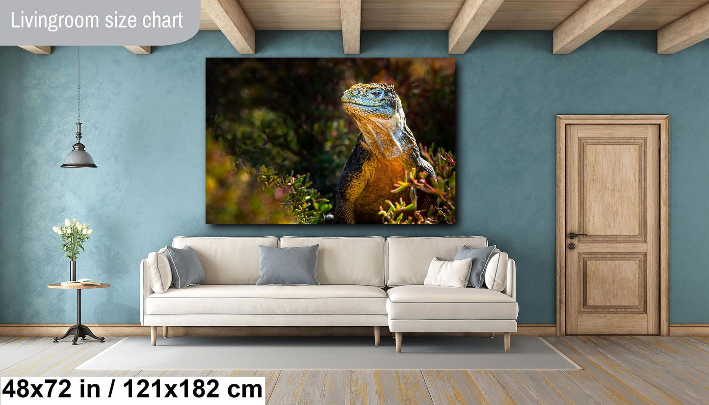 Lizard Canvas Print, Lan Iguana, Galapagos Islands, Iguana Photography, Canvas Print, Canvas Wall Art, Galapagos Photography, travel, nature