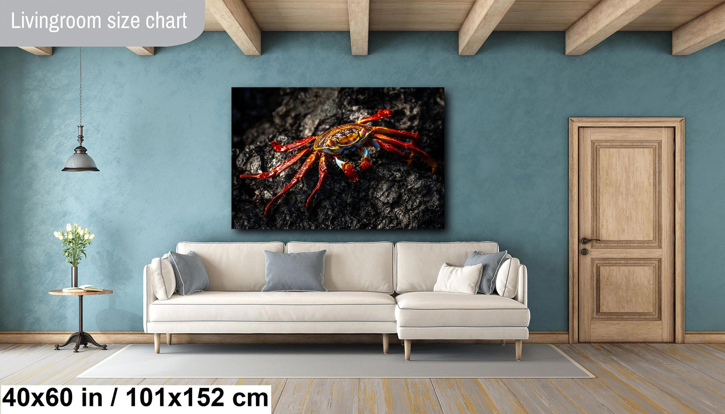 Galapagos Red Crab Canvas Print, Galapagos Islands, Crab Photography, Canvas Print, Canvas Wall Art, Galapagos Photography