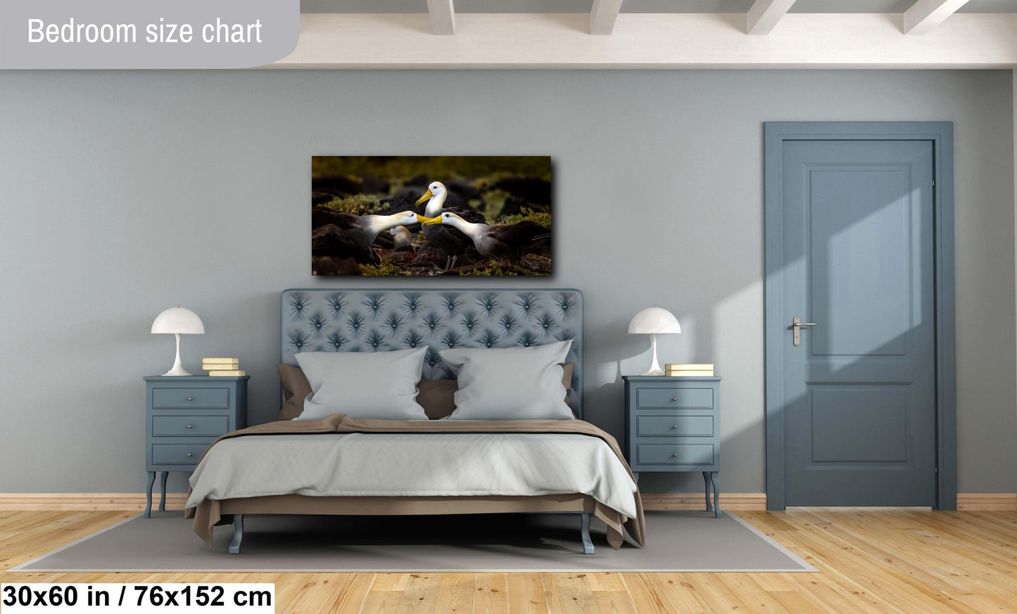 Galapagos Albatross Canvas Print, Galapagos Islands, Bird Photography, Canvas Print, Canvas Wall Art, Galapagos Photography