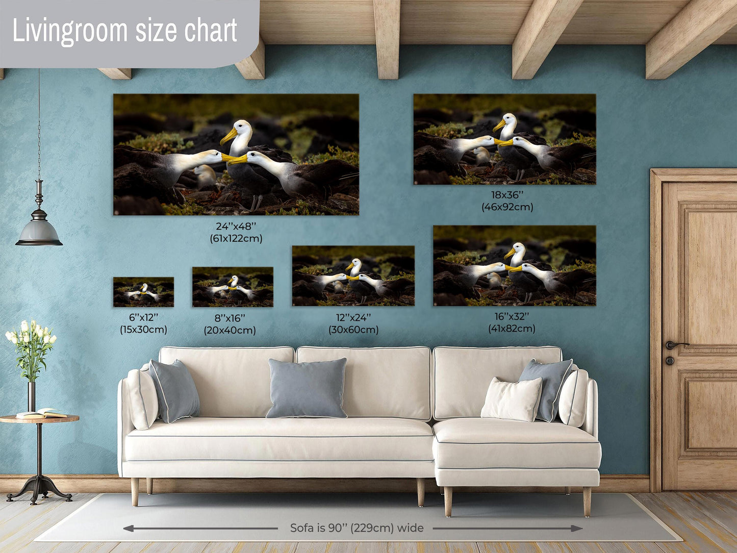 Galapagos Albatross Canvas Print, Galapagos Islands, Bird Photography, Canvas Print, Canvas Wall Art, Galapagos Photography