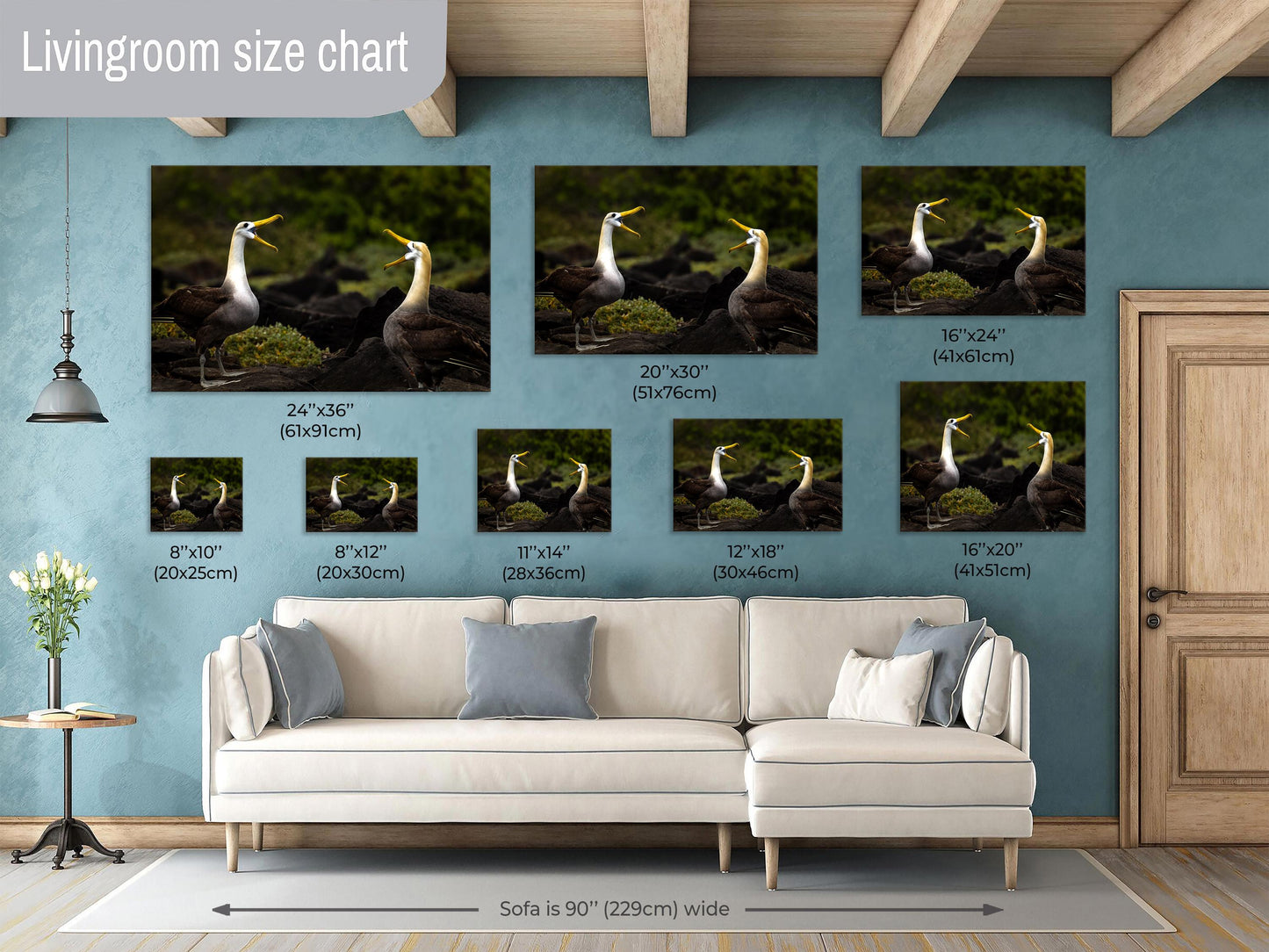 Galapagos Albatross Canvas Print, Two Albatross, Galapagos Islands, Canvas Print, Canvas Wall Art, Galapagos Photography