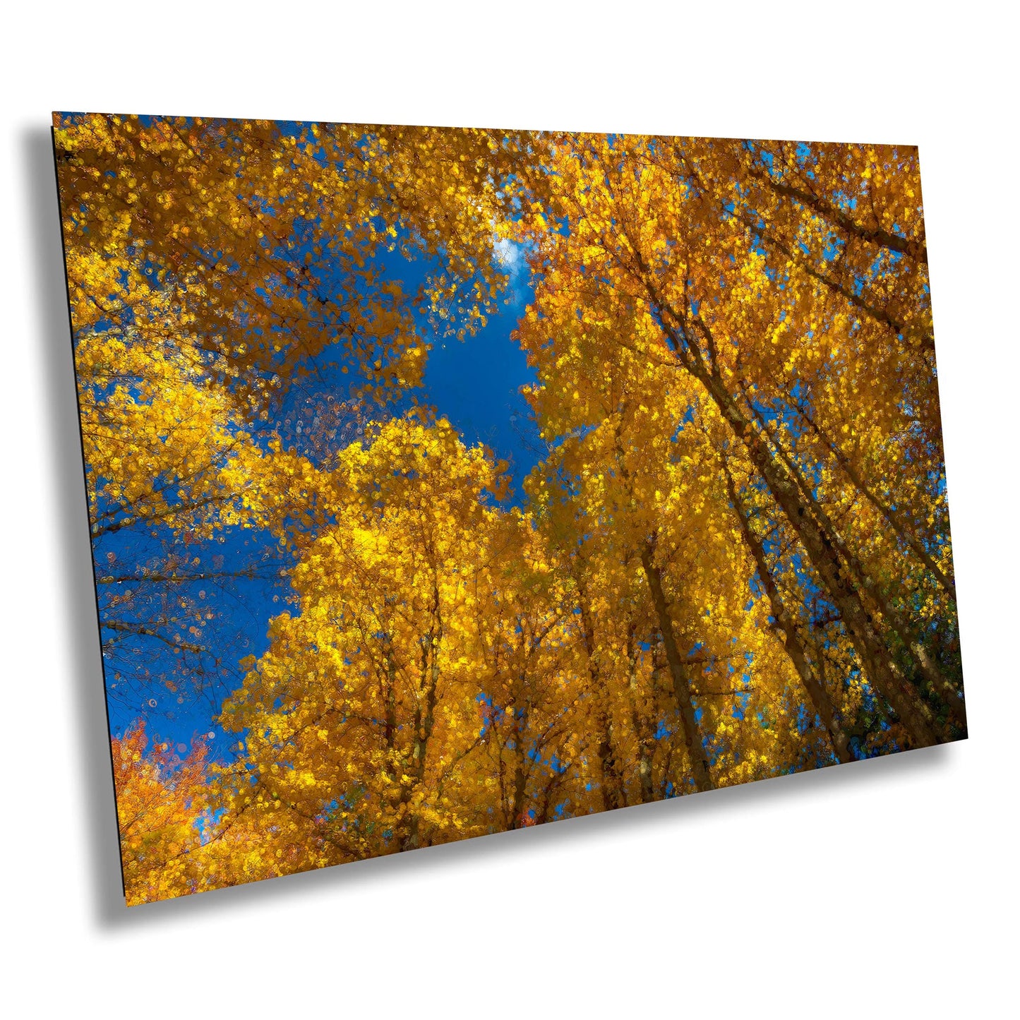 Golden Fall Leaves on Canvas, Painterly Art, Photo Art, Autumn Forest Photography, Canvas Wall Art, Yellow Autumn Leaves