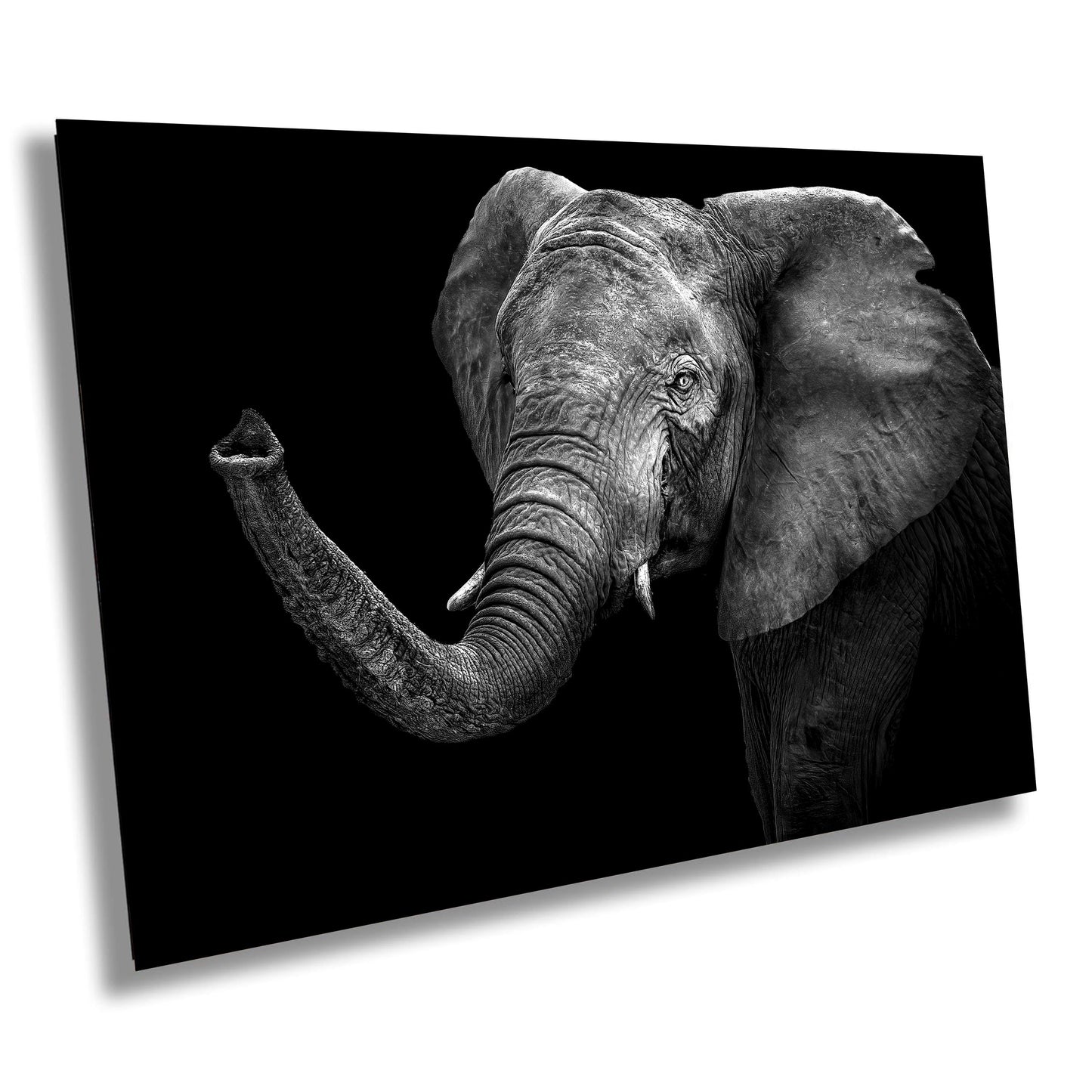 Elephant Canvas Print, Travel Print, Black and White, Safari Print, Wall Art, Big 5, Nature, Wild Animals, South Africa