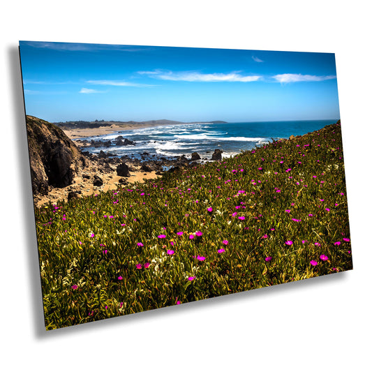 California North Coast Canvas Print, Canvas Wall Art, California Sunrise, Pacific Coast Home Decor, Purple Flowers, Gift