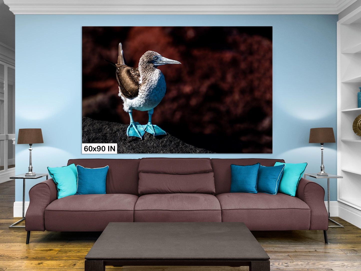 Blue Footed Booby Canvas Print, Galapagos Islands, Bird Photography, Canvas Print, Canvas Wall Art, Galapagos Photography, Nature Photograph