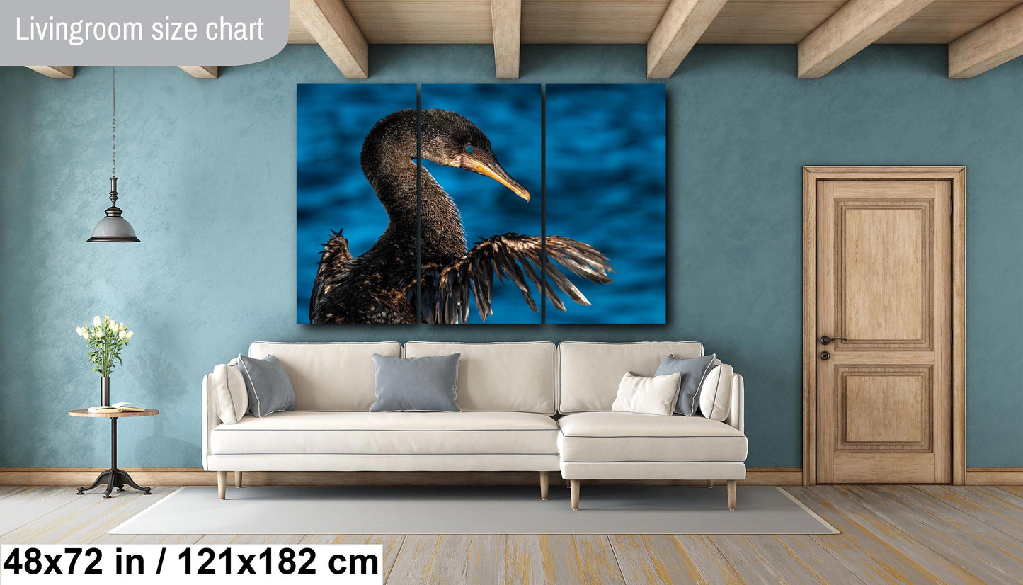 Galapagos Bird Canvas Print, Bird , Cormorant Photography, Canvas Print, Canvas Wall Art, Galapagos Photography