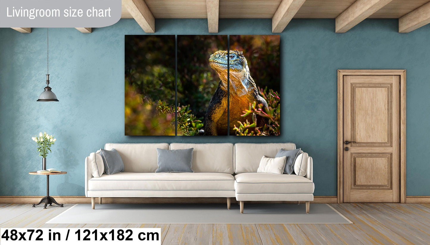 Lizard Canvas Print, Lan Iguana, Galapagos Islands, Iguana Photography, Canvas Print, Canvas Wall Art, Galapagos Photography, travel, nature