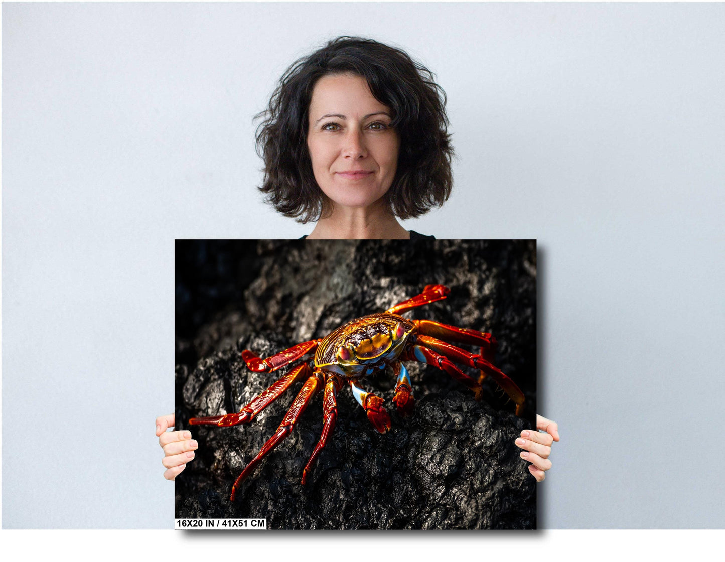 Galapagos Red Crab Canvas Print, Galapagos Islands, Crab Photography, Canvas Print, Canvas Wall Art, Galapagos Photography