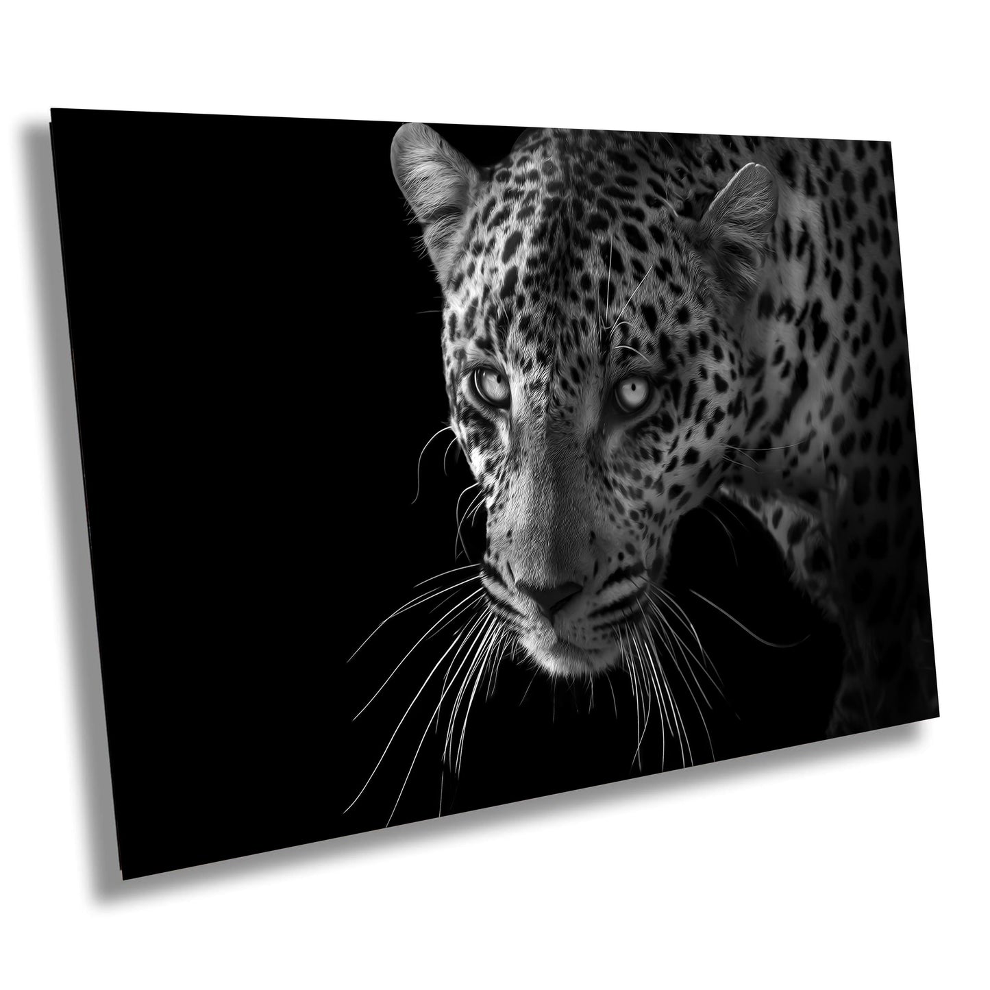 African Leopard Canvas Print, Travel Print, Black and White, Safari Print, Wall Art, Big Five, Nature, Wild Animals, South Africa