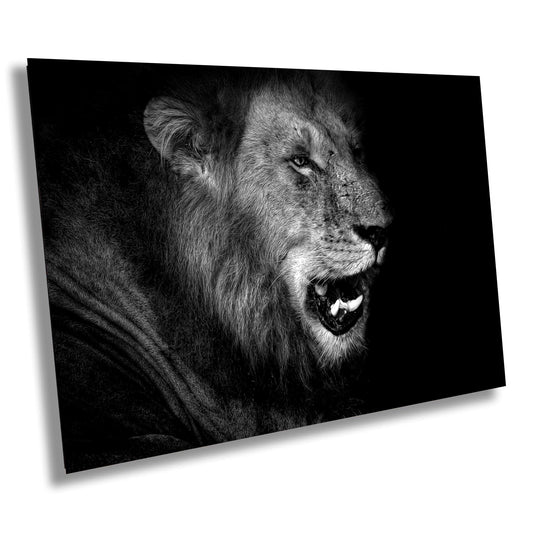 African Lion Canvas Print, Travel Print, Black and White, Safari Print, Wall Art, Big Five, Nature, Wild Animals, South Africa