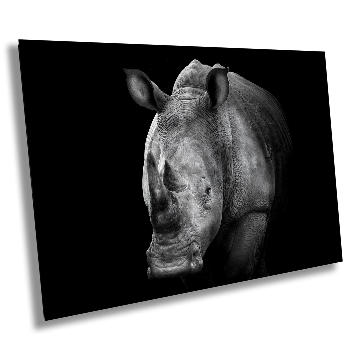 African Rhino Canvas Print, Travel Print, Black and White, Safari Print, Wall Art, Big Five, Nature, Wild Animals, South Africa