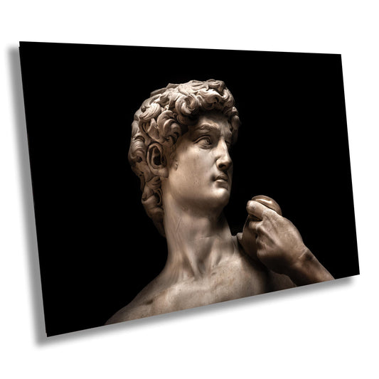 Statue of David Canvas Print, Michelangelo Art, David statue print, Famous Art, Modern Art, Michelangelo David print, paper, acrylic, metal